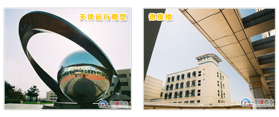 青島大學轉化醫(yī)學研究院